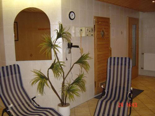 Gaststaette & Pension Alte Muehle Dorfchemnitz Dış mekan fotoğraf
